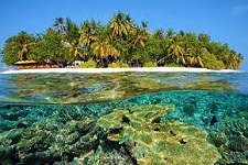 الیت بیچ
